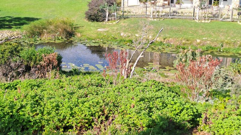 4 Bedroom Property for Sale in Stilbaai Wes Western Cape